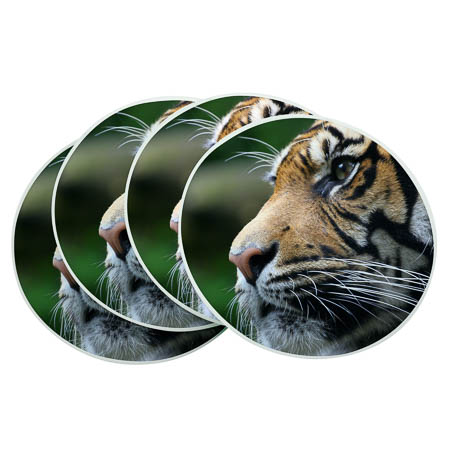 GL17b Glass Coaster GL17b Glass Coaster