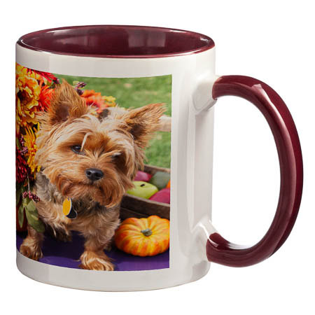 M-003 White Mug Coloured Interior and Handle M-003 White Mug Coloured Interior and Handle