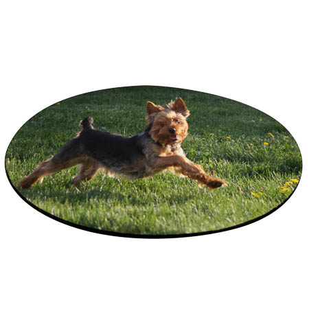 MP4 Round Mouse Pad MP4 Round Mouse Pad