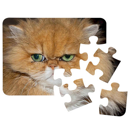 PL-PU0 12 Piece Polymer Puzzle PL-PU0 12 Piece Polymer Puzzle
