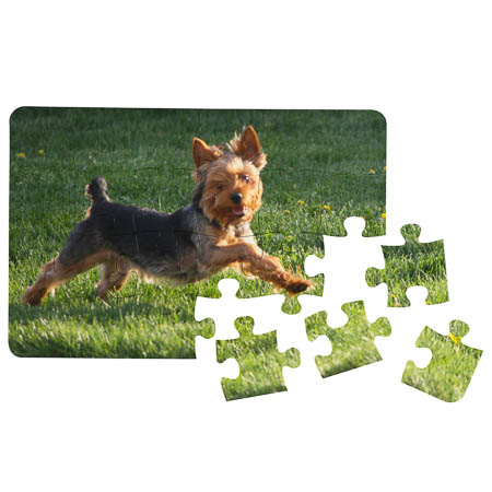 PL-PU1 24 Piece Polymer Puzzle PL-PU1 24 Piece Polymer Puzzle