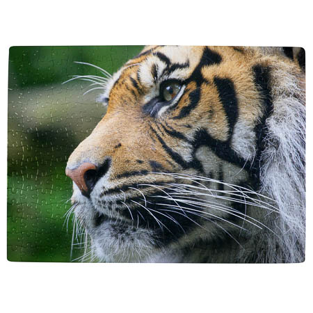 PU4 300 Piece A3 Puzzle PU4 300 Piece A3 Puzzle