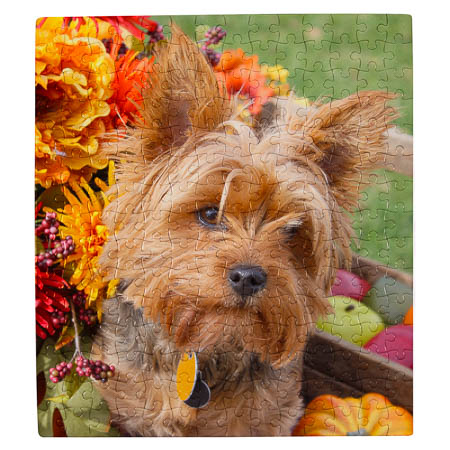 PU4-1 210 Piece Puzzle PU4-1 210 Piece Puzzle