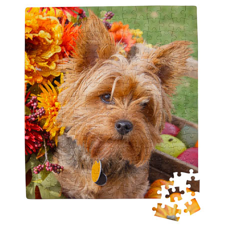PU4-1 210 Piece Puzzle PU4-1 210 Piece Puzzle