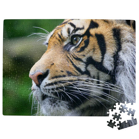 PU4 300 Piece A3 Puzzle PU4 300 Piece A3 Puzzle
