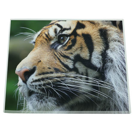 GL17a Glass Coaster GL17a Glass Coaster