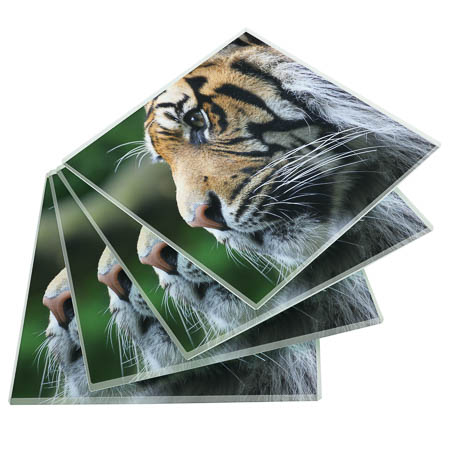 GL17a Glass Coaster GL17a Glass Coaster
